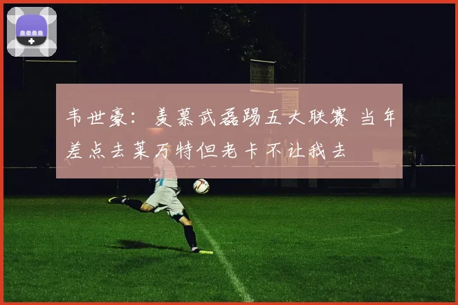 韦世豪：羡慕武磊踢五大联赛 当年差点去莱万特但老卡不让我去