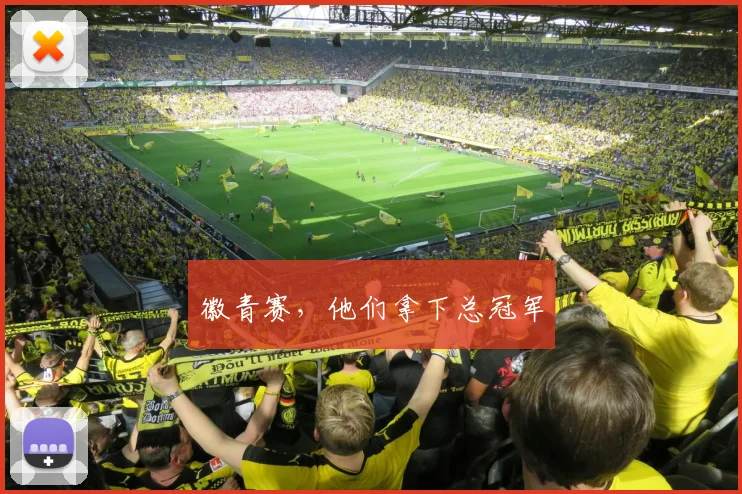 徽青赛,他们拿下总冠军